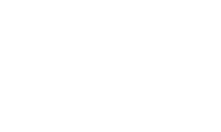 logo fleshandblood