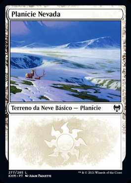 Snow-Covered Plains / 