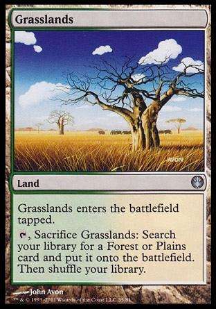 Grasslands / 