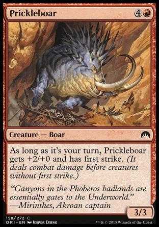 Javali Espinhento / Prickleboar