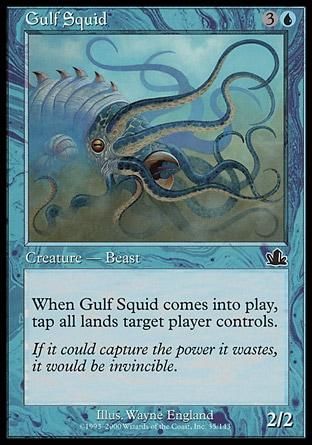 Lula do Golfo / Gulf Squid