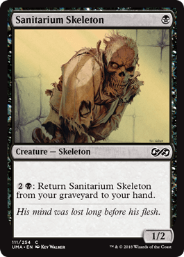 Sanitarium Skeleton