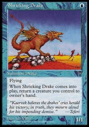 Dragonete Guinchador / Shrieking Drake