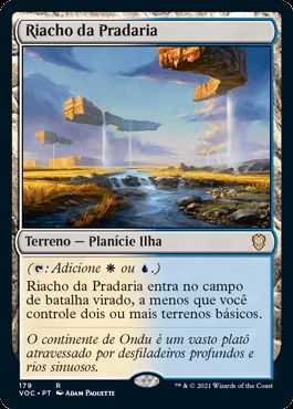 Riacho da Pradaria / Prairie Stream