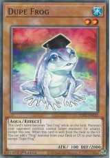 Sapo Enganador / Dupe Frog - #SDFC-EN022