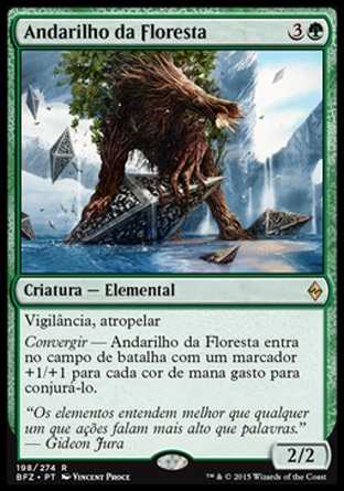 Andarilho da Floresta / Woodland Wanderer