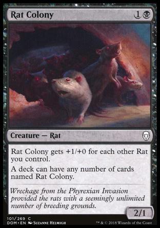 Colônia de Ratos / Rat Colony