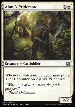 Companheiro de Bando de Ajani / Ajani