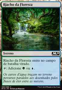 Riacho da Floresta / Woodland Stream