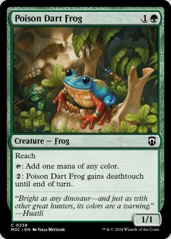 Sapo-flecha / Poison Dart Frog