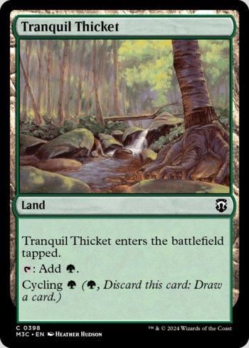 Bosque Sereno / Tranquil Thicket