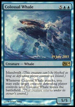 Colossal Whale / 