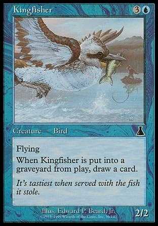 Martim Pescador / Kingfisher