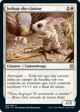 Jerboa-do-cânion / Canyon Jerboa